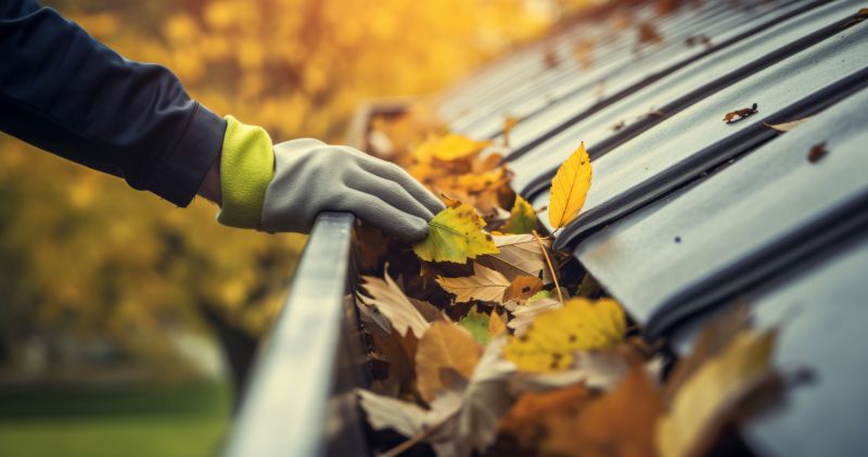 Fall Gutter Covers Service